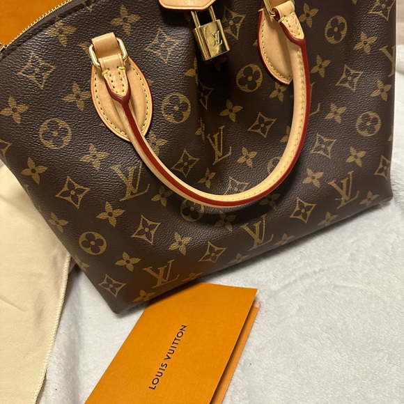 Louis Vuitton Brown Bags - Picture 3 of 16